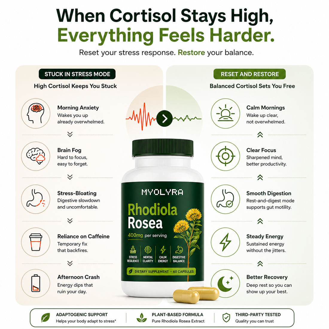 Rhodiola Rosea - Natural Adaptogen Made in USA