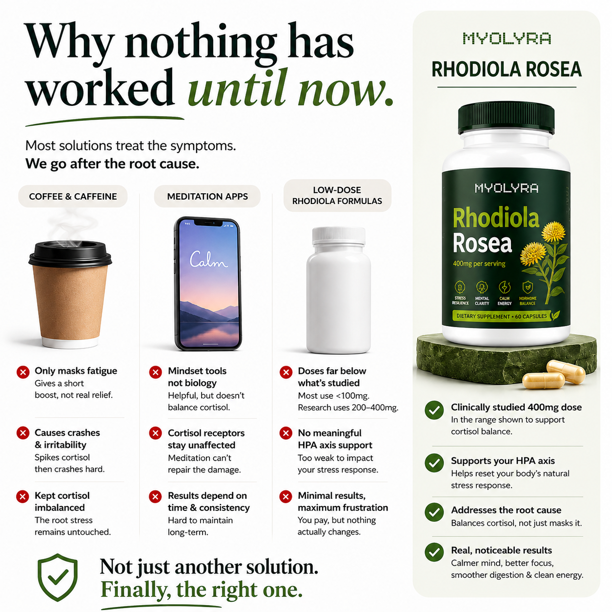 Rhodiola Rosea - Natural Adaptogen Made in USA